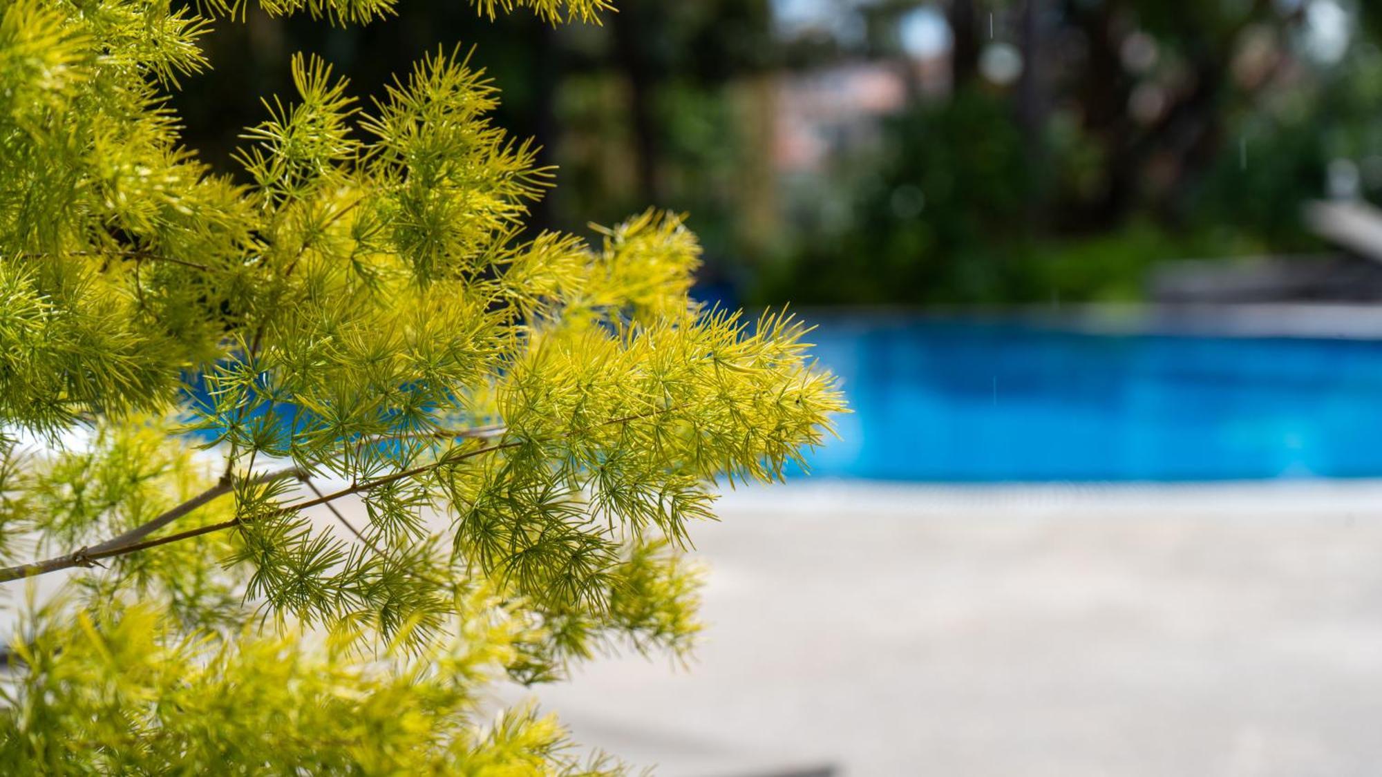 Apartment Deluxe Living By Lovelystay